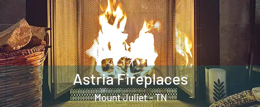  Astria Fireplaces Mount Juliet - TN