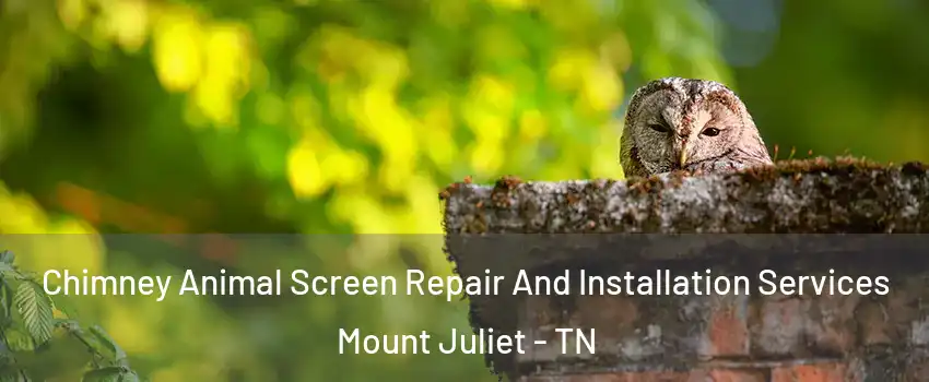  Chimney Animal Screen Repair And Installation Services Mount Juliet - TN