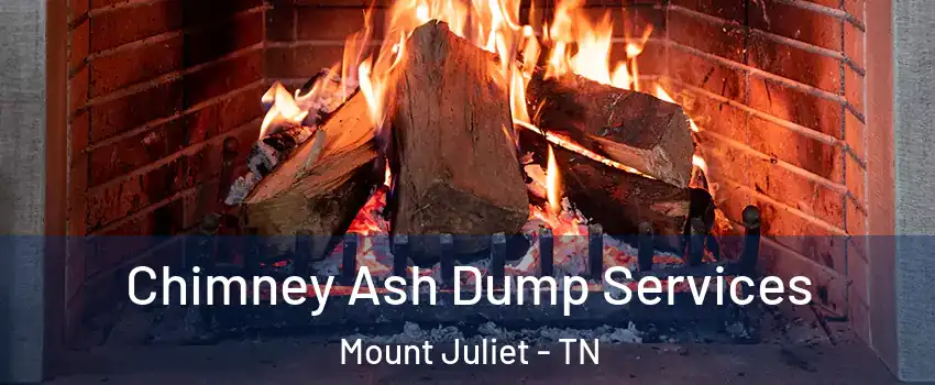  Chimney Ash Dump Services Mount Juliet - TN