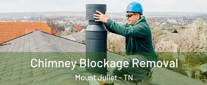  Chimney Blockage Removal Mount Juliet - TN