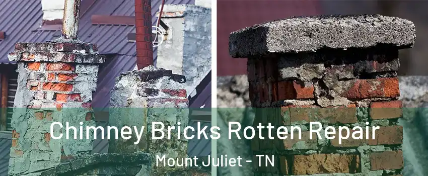  Chimney Bricks Rotten Repair Mount Juliet - TN