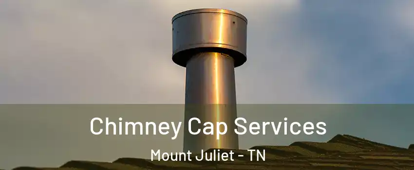  Chimney Cap Services Mount Juliet - TN