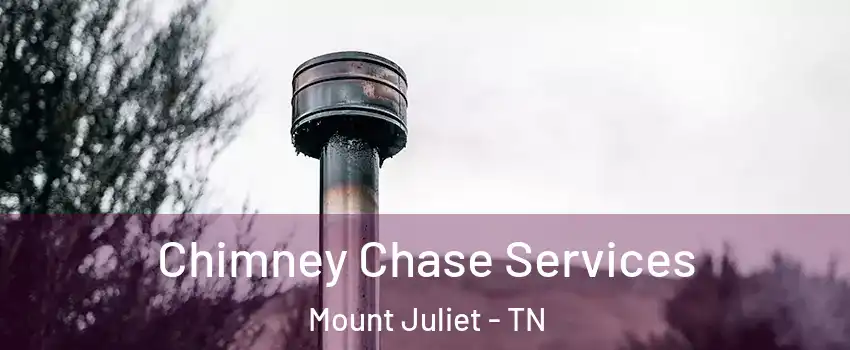 Chimney Chase Services Mount Juliet - TN