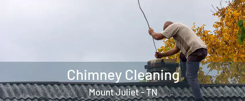  Chimney Cleaning Mount Juliet - TN
