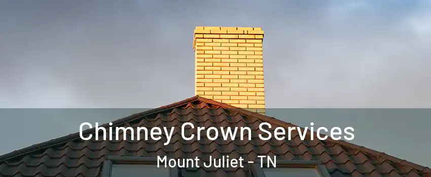 Chimney Crown Services Mount Juliet - TN
