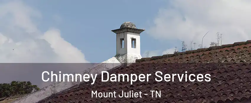  Chimney Damper Services Mount Juliet - TN