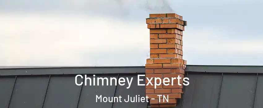 Chimney Experts Mount Juliet - TN