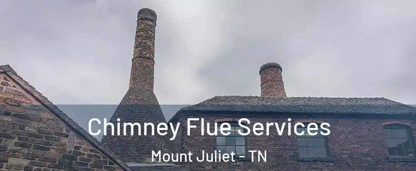  Chimney Flue Services Mount Juliet - TN