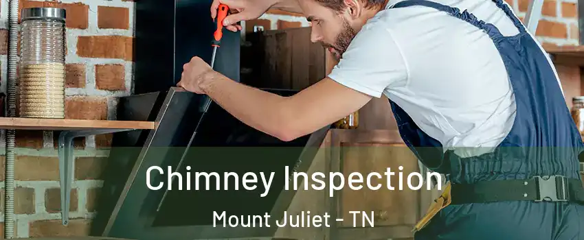  Chimney Inspection Mount Juliet - TN