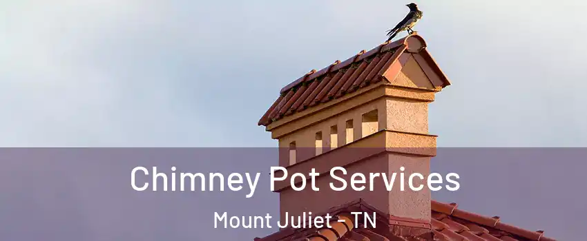  Chimney Pot Services Mount Juliet - TN