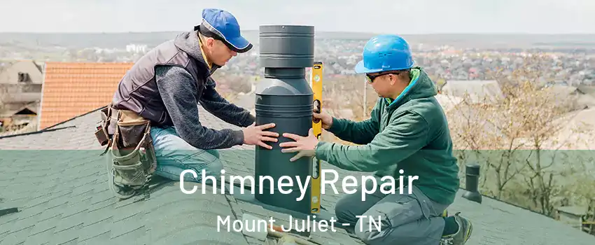  Chimney Repair Mount Juliet - TN