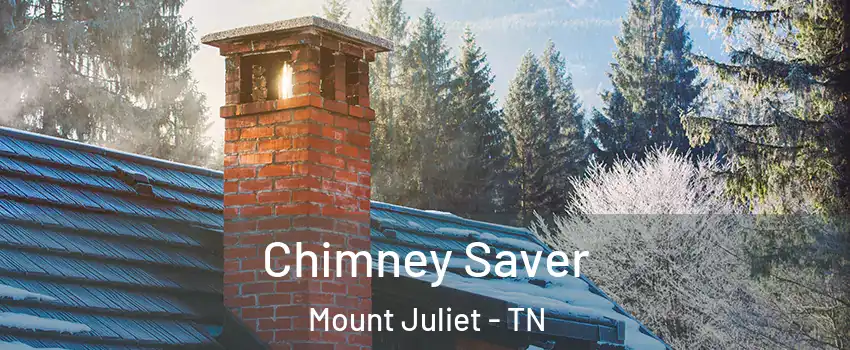  Chimney Saver Mount Juliet - TN