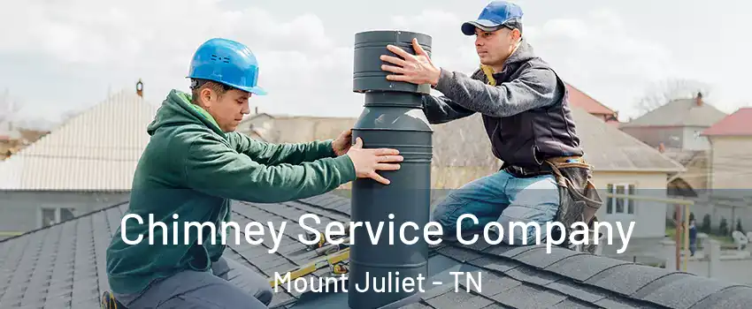  Chimney Service Company Mount Juliet - TN