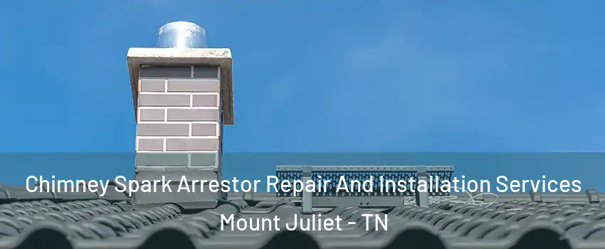  Chimney Spark Arrestor Repair And Installation Services Mount Juliet - TN