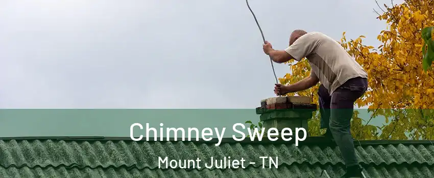  Chimney Sweep Mount Juliet - TN