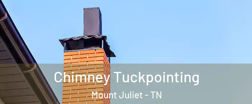  Chimney Tuckpointing Mount Juliet - TN