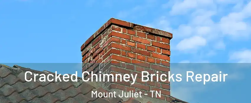  Cracked Chimney Bricks Repair Mount Juliet - TN