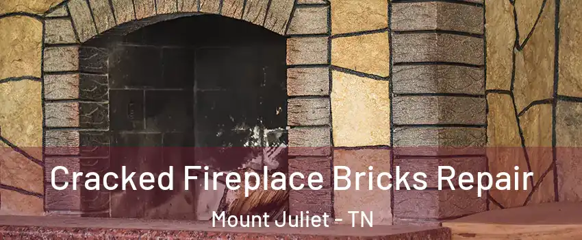  Cracked Fireplace Bricks Repair Mount Juliet - TN