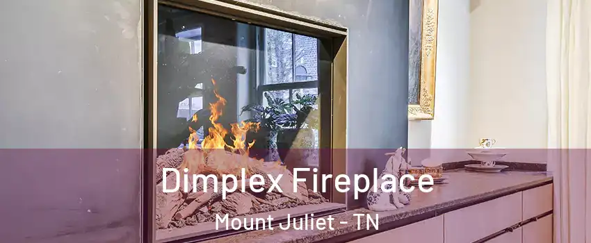  Dimplex Fireplace Mount Juliet - TN