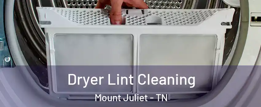 Dryer Lint Cleaning Mount Juliet - TN