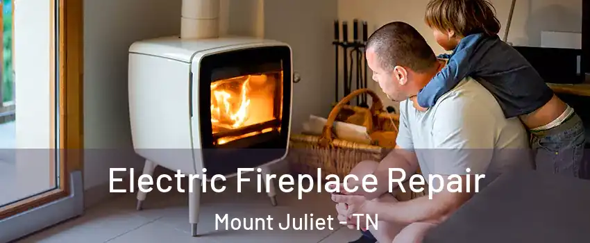  Electric Fireplace Repair Mount Juliet - TN