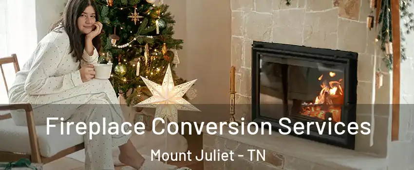  Fireplace Conversion Services Mount Juliet - TN