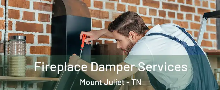  Fireplace Damper Services Mount Juliet - TN