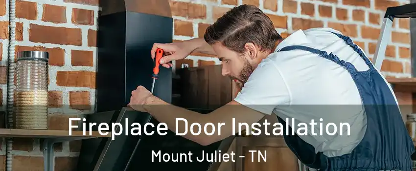  Fireplace Door Installation Mount Juliet - TN