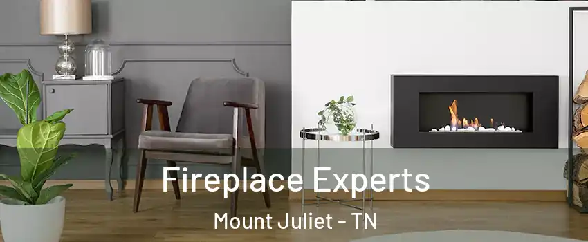  Fireplace Experts Mount Juliet - TN