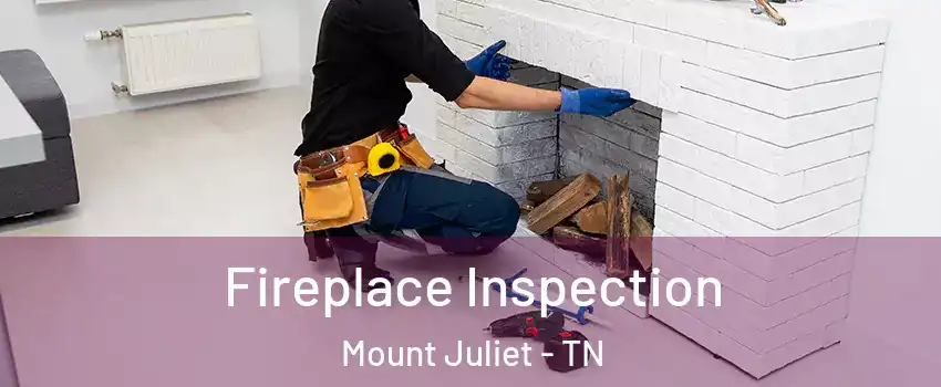  Fireplace Inspection Mount Juliet - TN