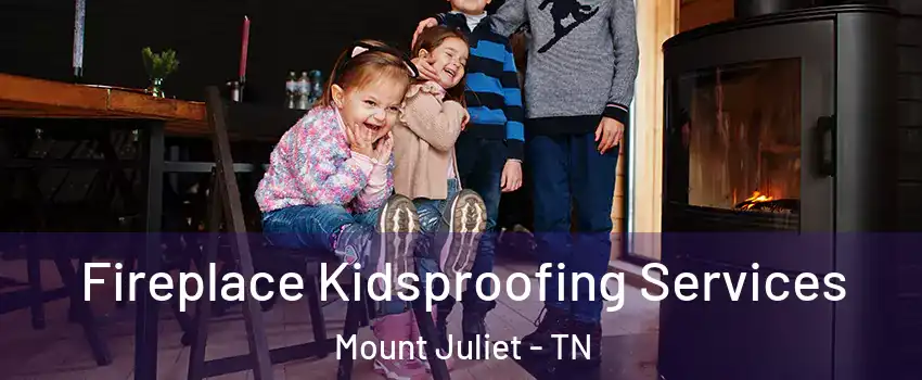  Fireplace Kidsproofing Services Mount Juliet - TN