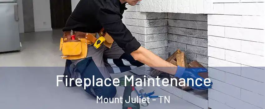  Fireplace Maintenance Mount Juliet - TN