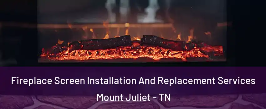  Fireplace Screen Installation And Replacement Services Mount Juliet - TN