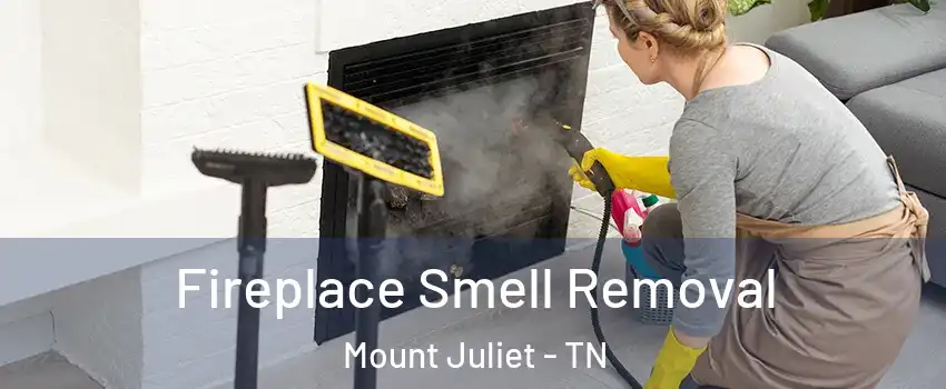 Fireplace Smell Removal Mount Juliet - TN