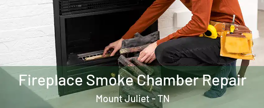  Fireplace Smoke Chamber Repair Mount Juliet - TN