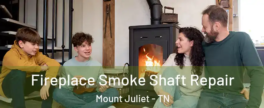  Fireplace Smoke Shaft Repair Mount Juliet - TN