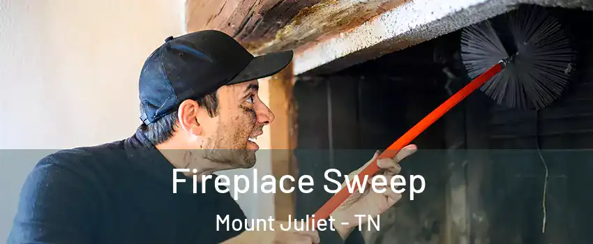  Fireplace Sweep Mount Juliet - TN