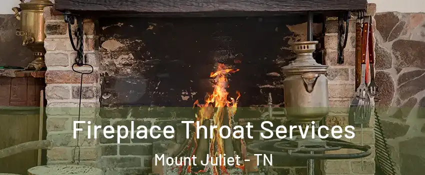  Fireplace Throat Services Mount Juliet - TN