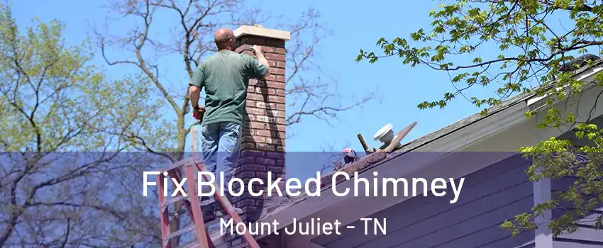  Fix Blocked Chimney Mount Juliet - TN
