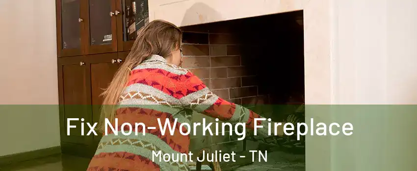 Fix Non-Working Fireplace Mount Juliet - TN
