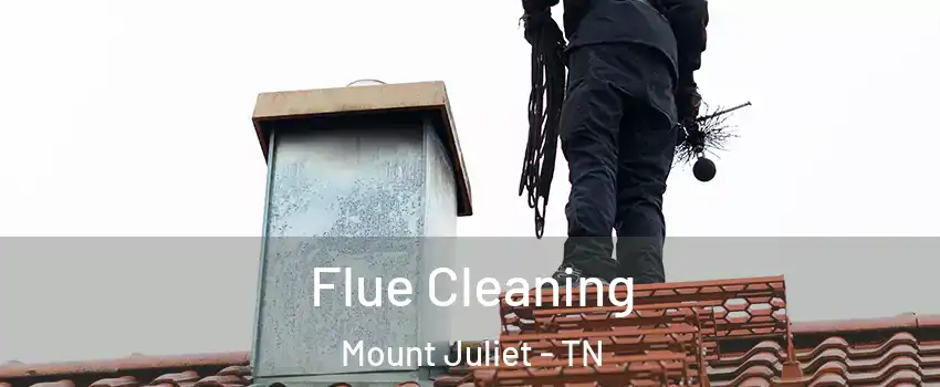  Flue Cleaning Mount Juliet - TN
