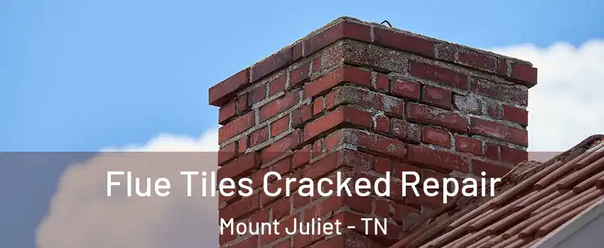  Flue Tiles Cracked Repair Mount Juliet - TN