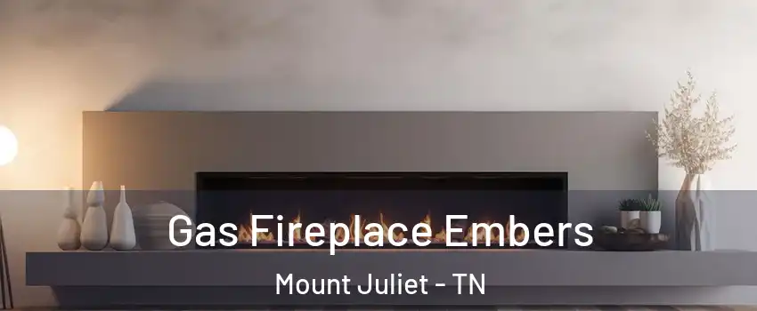  Gas Fireplace Embers Mount Juliet - TN