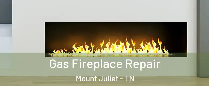  Gas Fireplace Repair Mount Juliet - TN