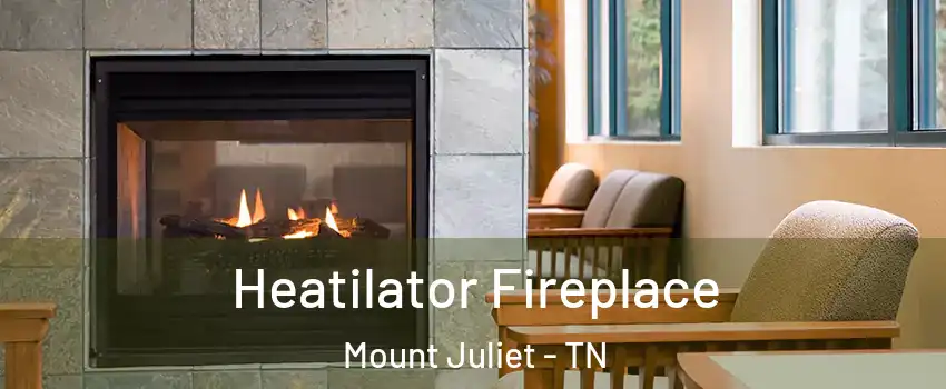 Heatilator Fireplace Mount Juliet - TN