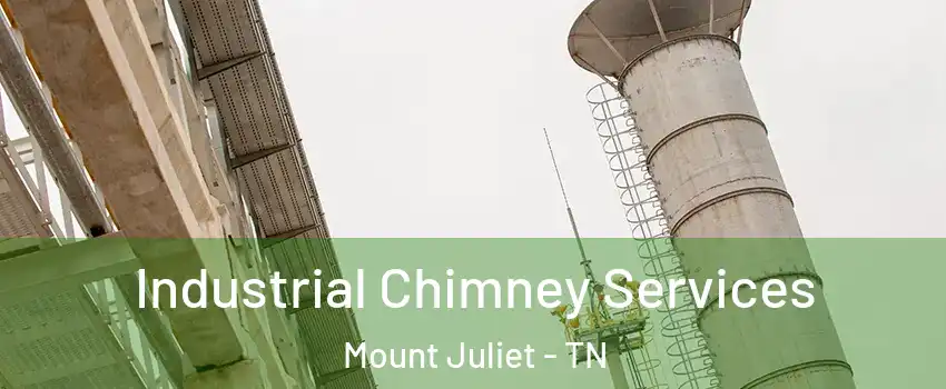  Industrial Chimney Services Mount Juliet - TN