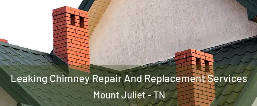  Leaking Chimney Repair And Replacement Services Mount Juliet - TN