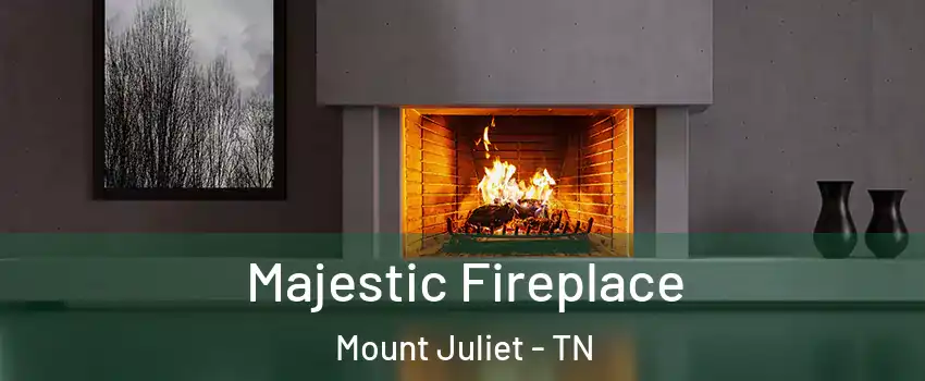  Majestic Fireplace Mount Juliet - TN