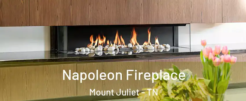  Napoleon Fireplace Mount Juliet - TN