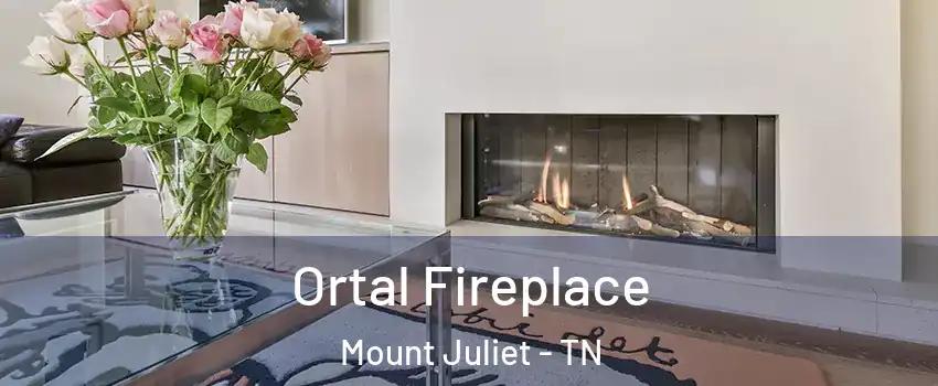 Ortal Fireplace Mount Juliet - TN